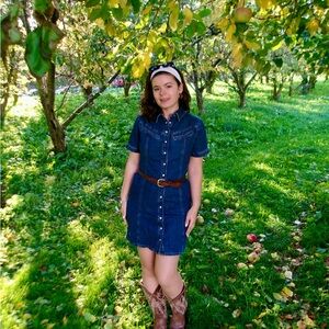 Levi’s Denim Button-Up Dress